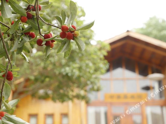 Liling Maple Valley Danfeng Hotel in Xishan, People's Republic of China