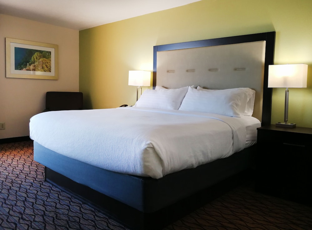 Holiday Inn Corpus Christi Downtown Marina by IHG - photo 9