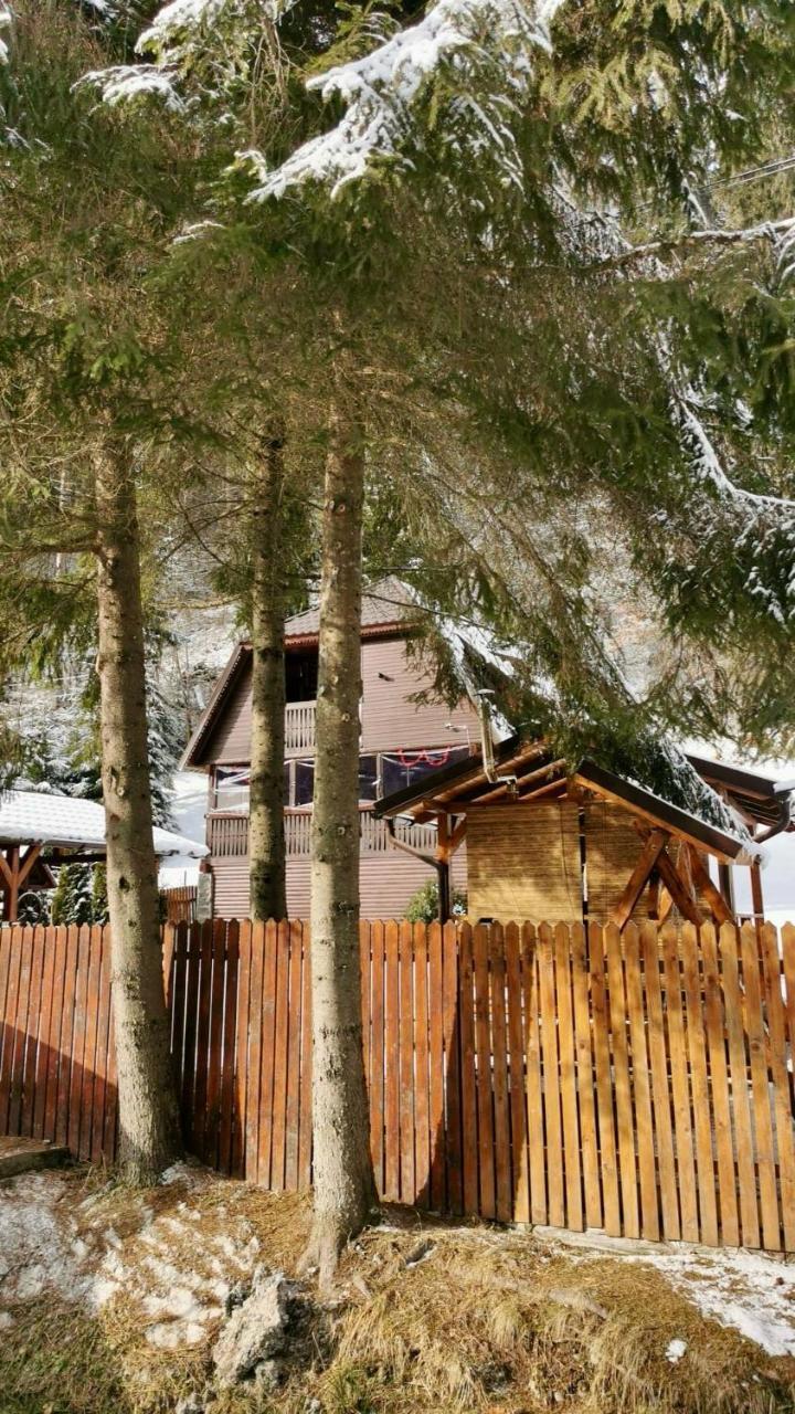 Cabana Weekend - last minute hotel in Salard