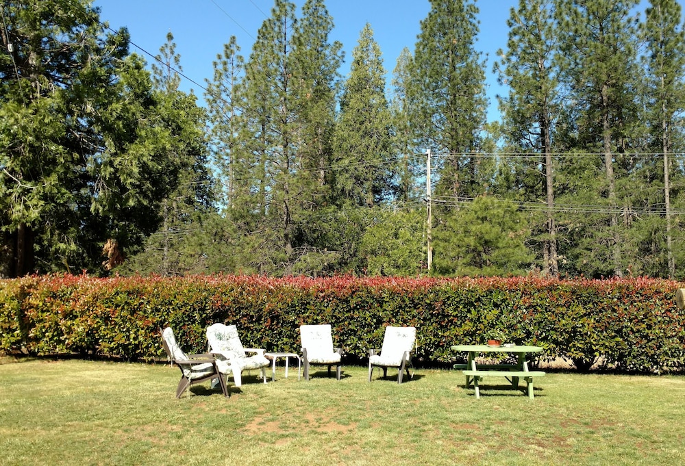 Brownsville Motel - photo 150