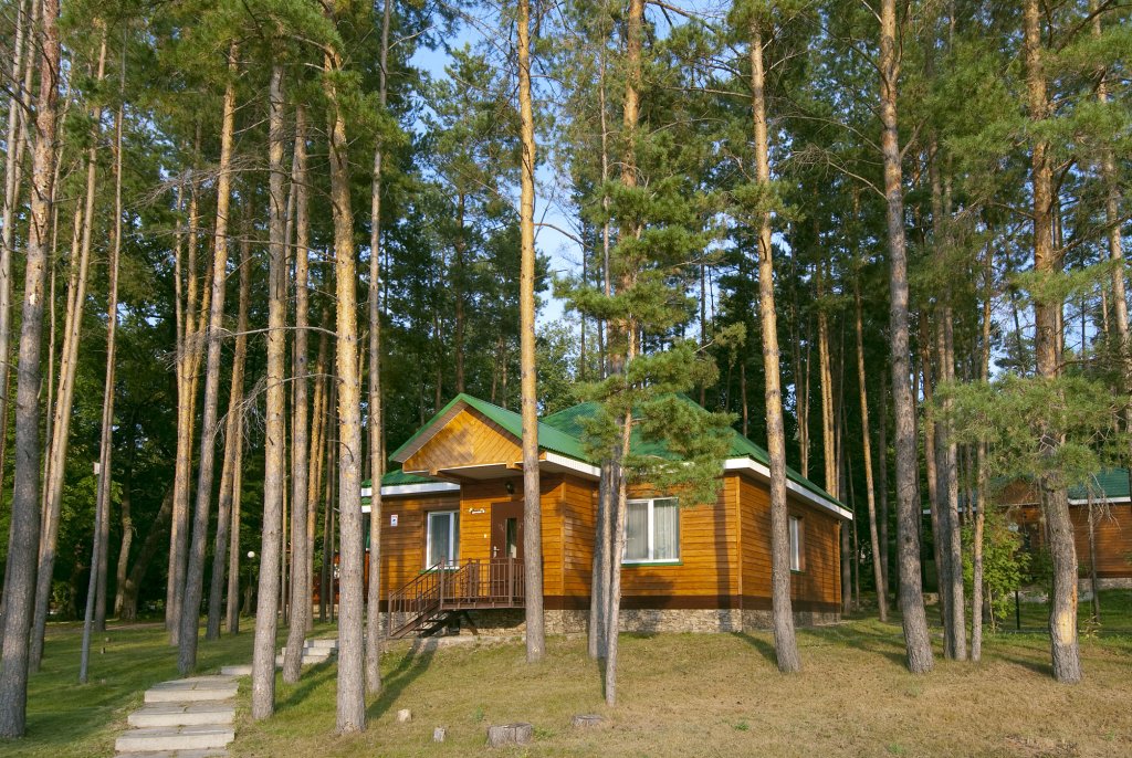 Lesnoy Hotel — hotel in Nizhnekamsk