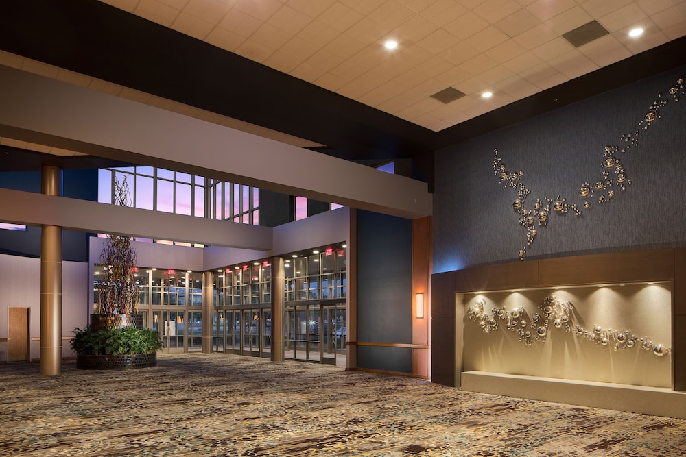 Embassy Suites by Hilton Dallas Frisco Hotel & Convention Center - photo 48