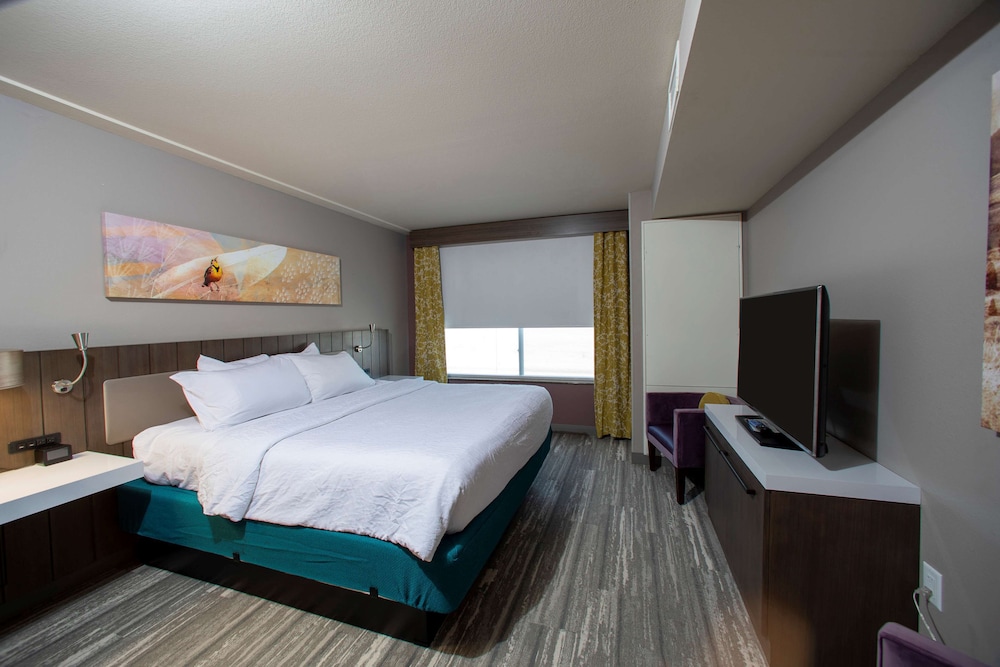 Hilton Garden Inn Rapid City - photo 29