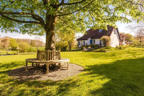 Teichrose - carbon neutral hotel in Kappeln