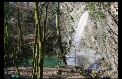 App Lidia — Groznjan — photo 3