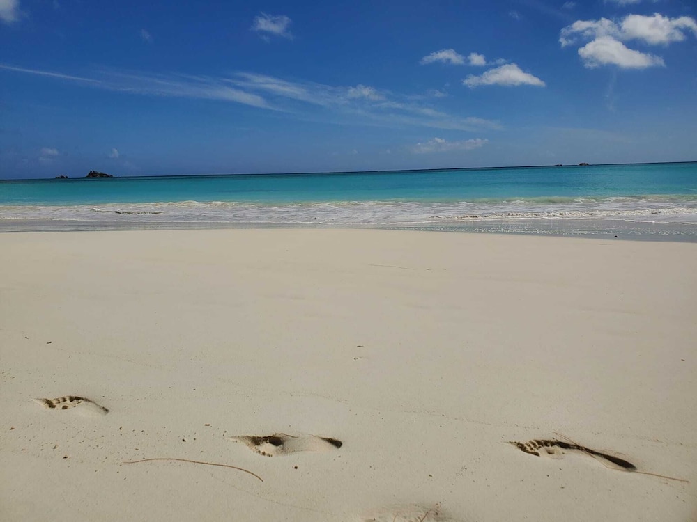 Cote d’Or Footprints — Victoria — photo 3