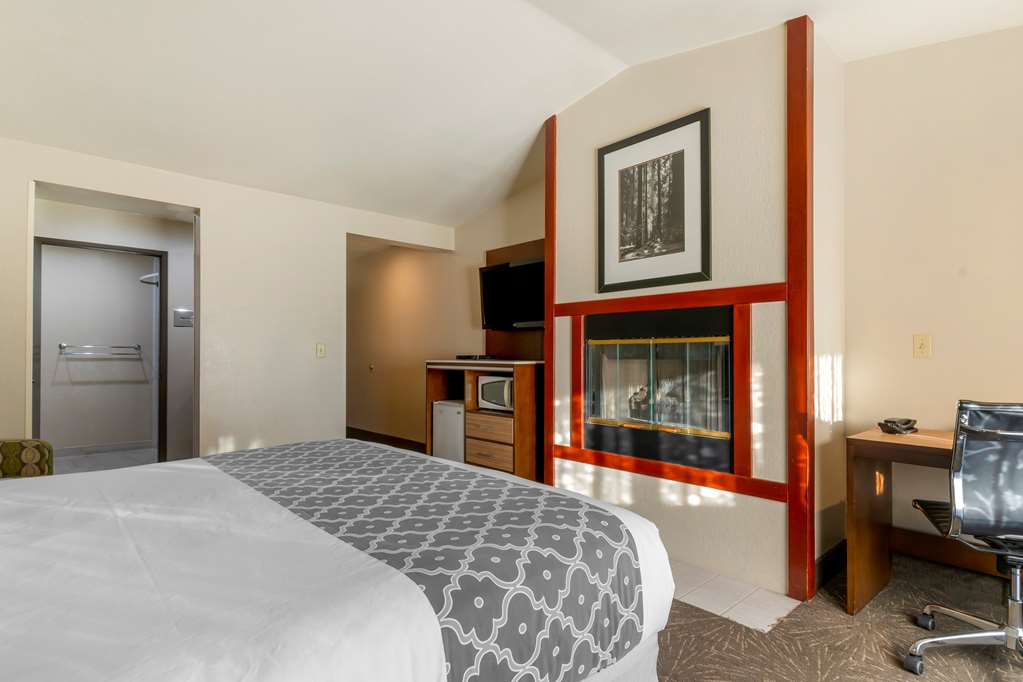 Best Western Plus Forest Park Inn - photo 41