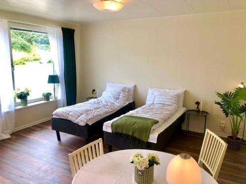Cozy modern studio apartment stay — 4-Star Luxury Hotel in Falkenberg, Sweden