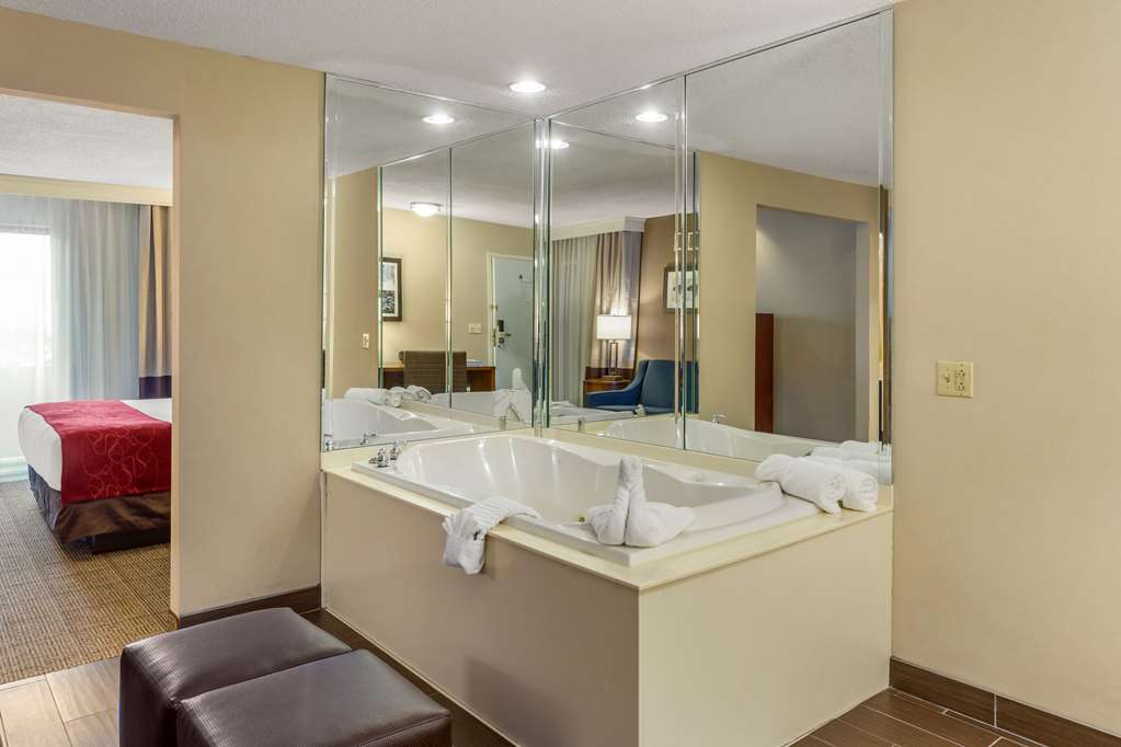 Comfort Suites Oakbrook Terrace near Oakbrook Center - photo 21