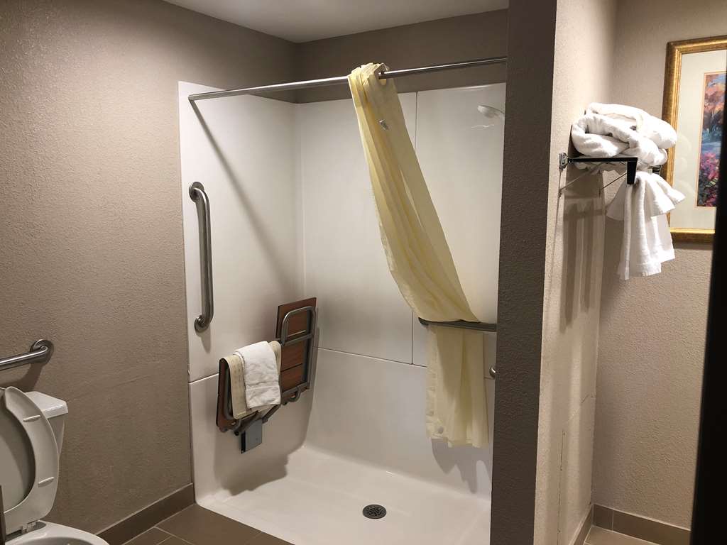 Best Western Gateway Adirondack Inn - photo 19