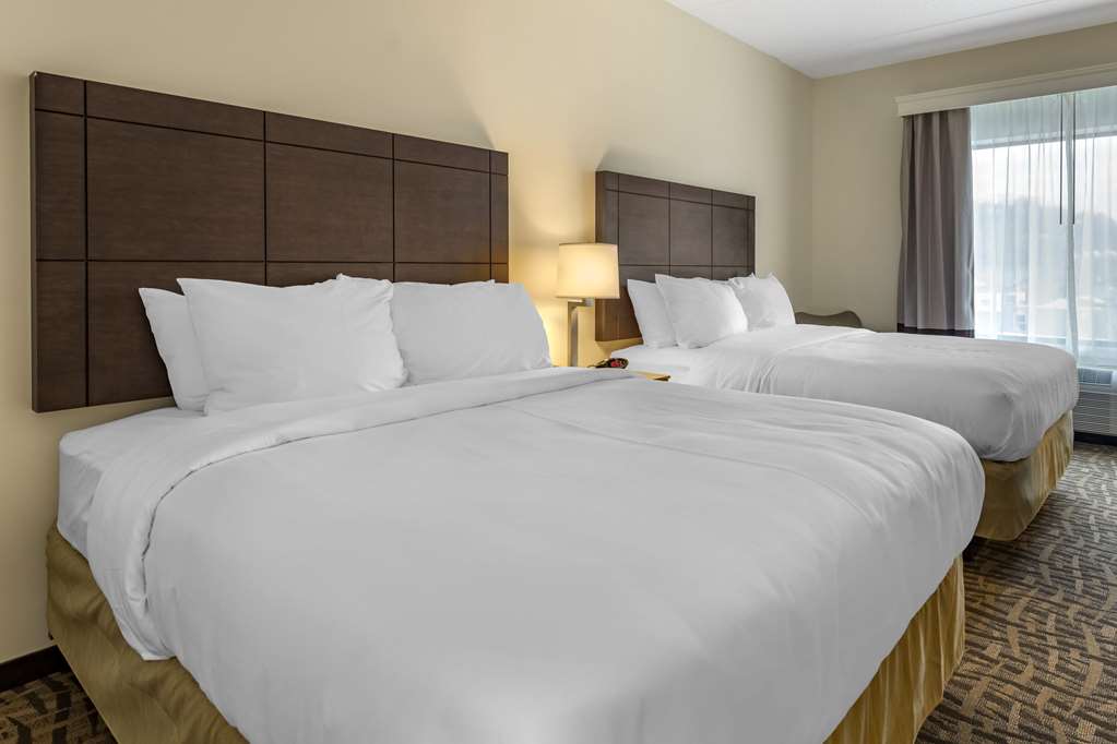Comfort Inn & Suites Pittsburgh Northshore - photo 7