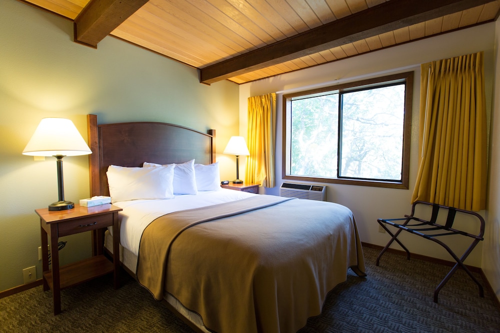 Westcliff Lodge - photo 15