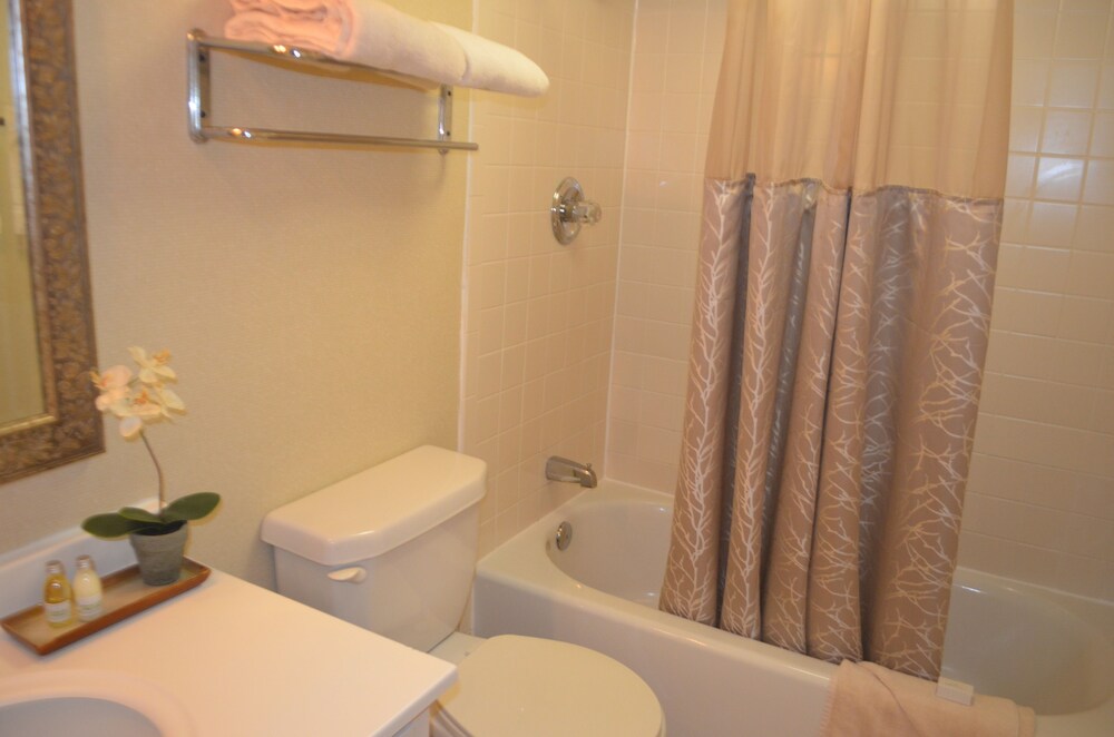Chapel Hill University Inn - photo 26