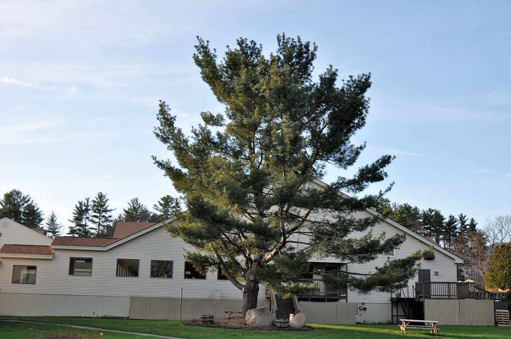 Fox Ridge Resort - photo 44