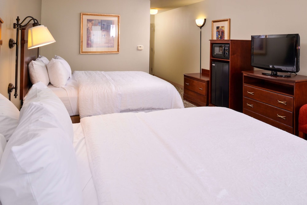 Hampton Inn by Hilton Litchfield - photo 22