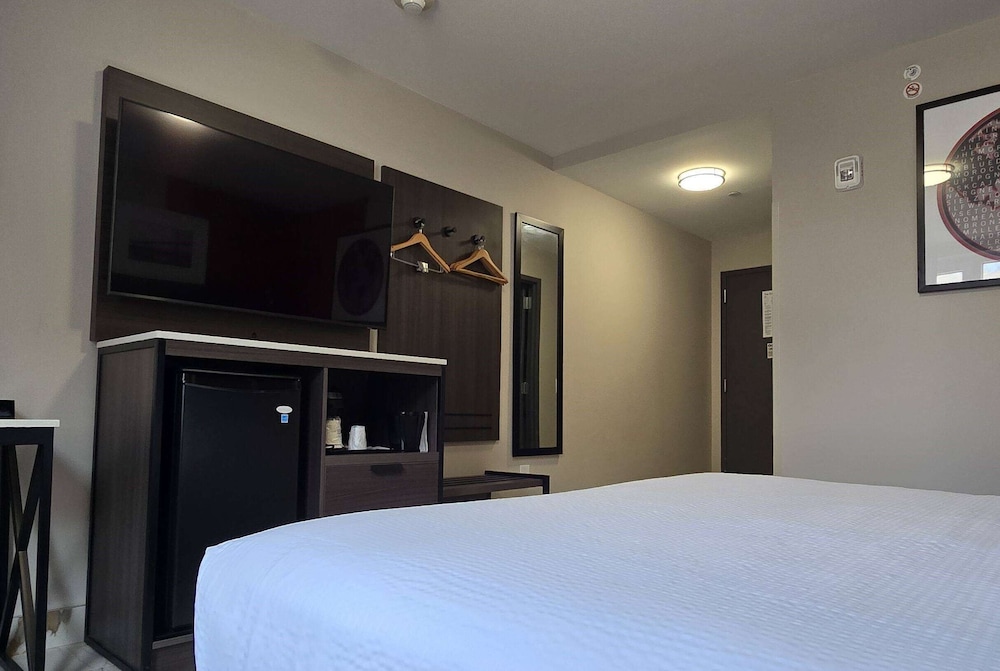 Ramada by Wyndham Brooklyn Empire Blvd - photo 10