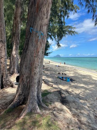 Caz la plaz Beach front apartment 2BR — 4-Star Luxury Hotel in Flic En Flac, Mauritius