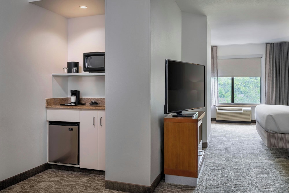 SpringHill Suites by Marriott Charleston N. Ashley Phosphate - photo 22