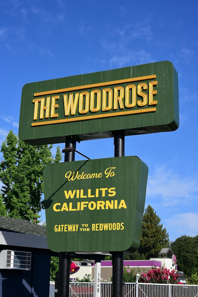The Woodrose - photo 39