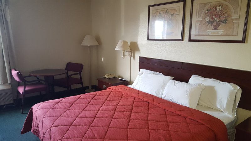 Arlington Inn And Suites - photo 18