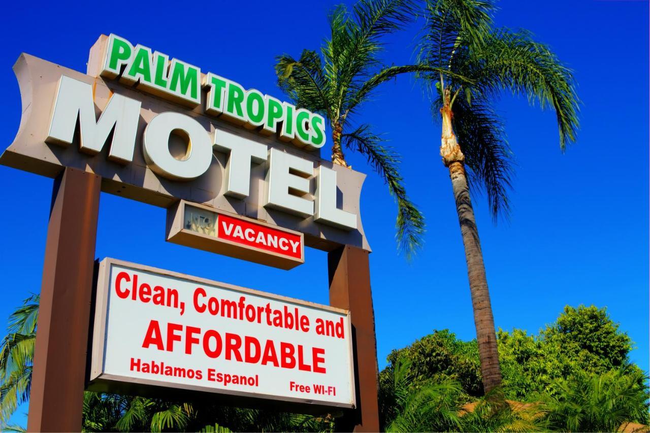 Palm Tropics Motel - photo 7