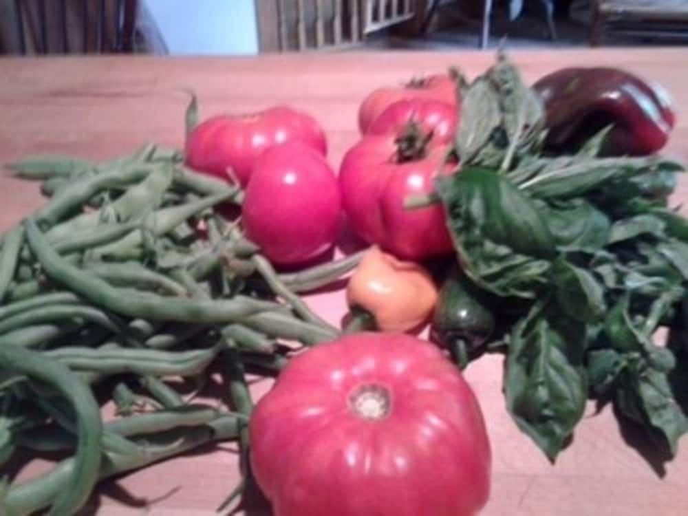Flint Hill Farm AG - photo 21