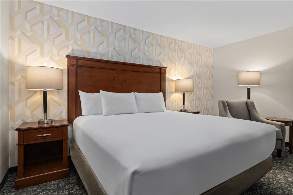 Drury Plaza Hotel St. Louis Creve Coeur - photo 24