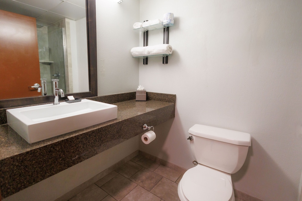 SEVEN Sebring Raceway Hotel - photo 22