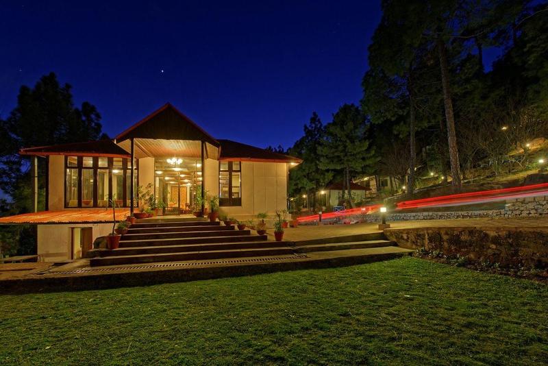 Arcadian Blue Pines in Murree, Pakistan