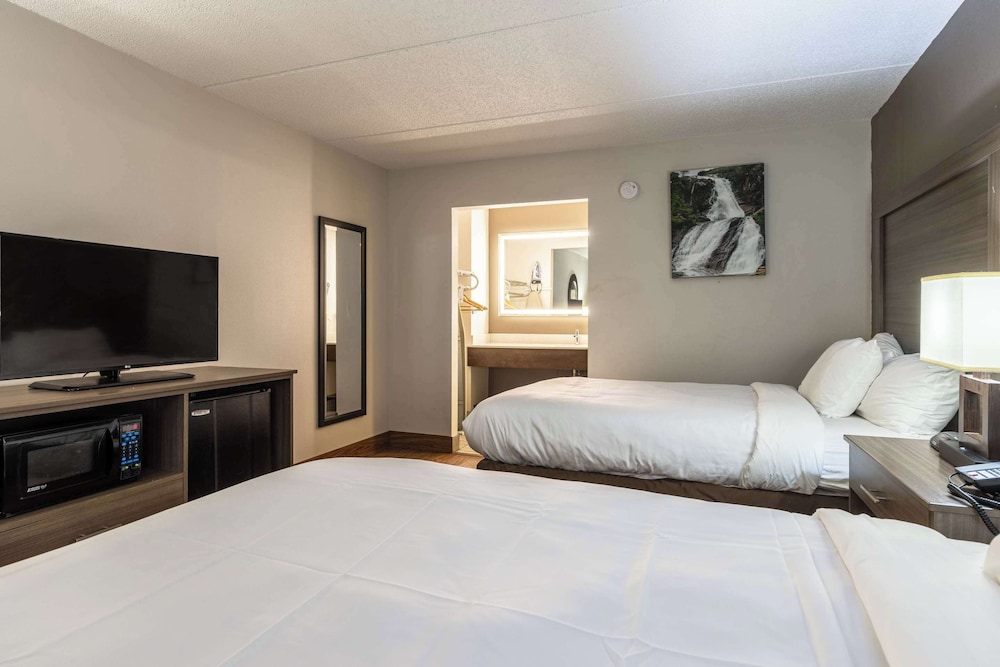Quality Inn Asheville Airport - photo 17