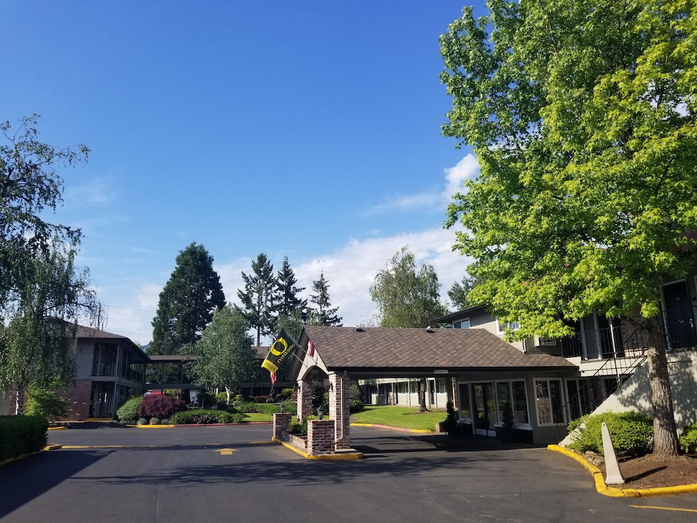 Village Inn Springfield - photo 33