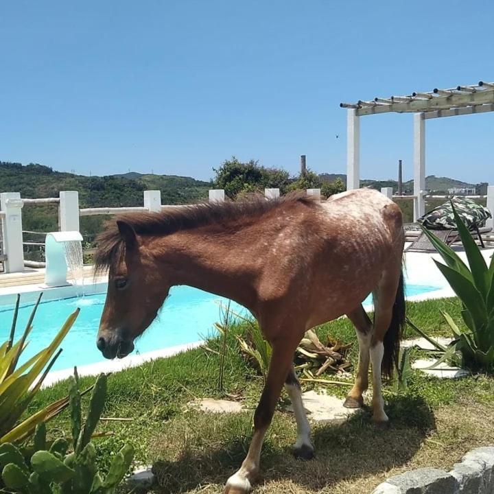 Pousada Fazendinha Beach Club Arraial Do Cabo — Arraial Do Cabo — photo 2