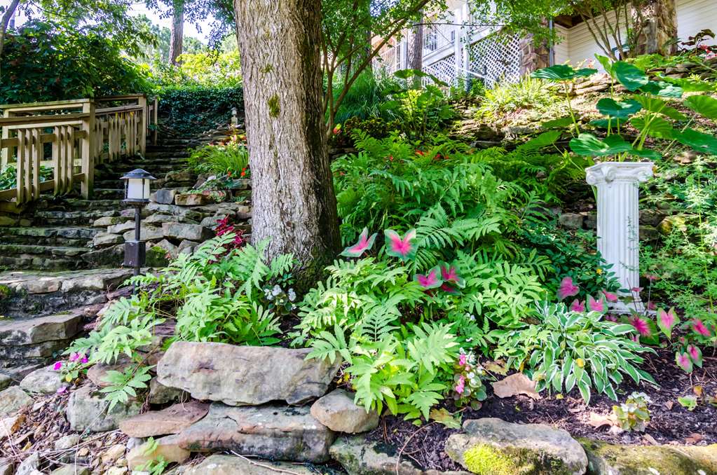 Quality Inn Eureka Springs South - photo 88
