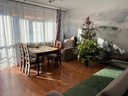 Apartament pod Honem — Cisna — photo 3