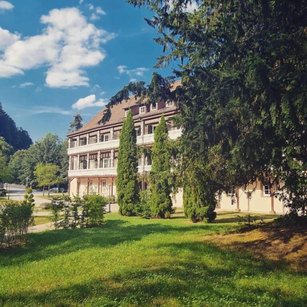 Thermen Hotel — hotel in Bad Liebenzell