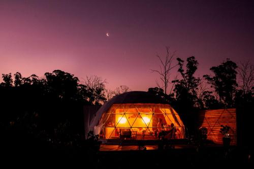 Domescapes in the Vines — George Town — photo 2