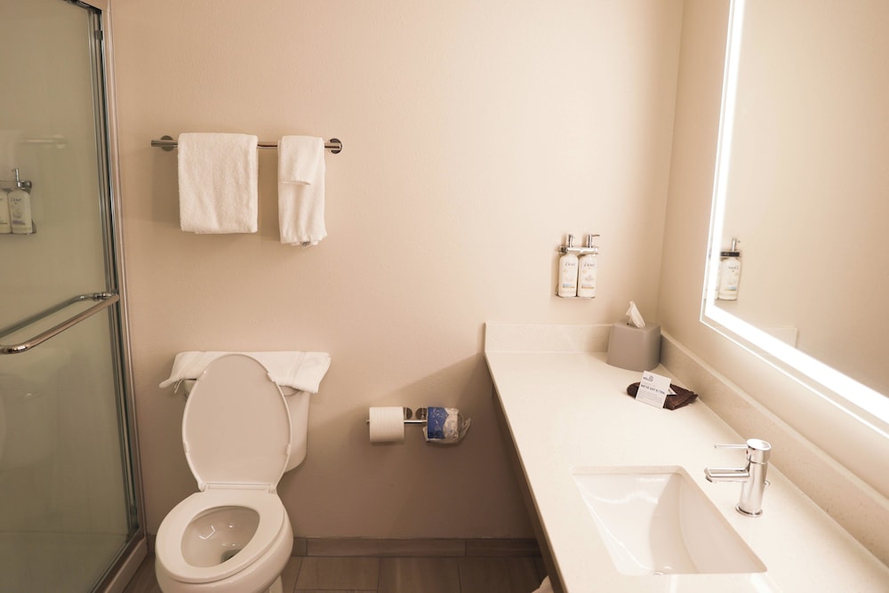 Holiday Inn Express Hotel & Suites Douglas by IHG - photo 24