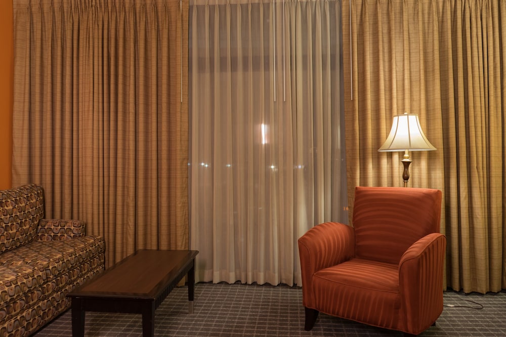 Oakland Airport Executive Hotel - photo 28