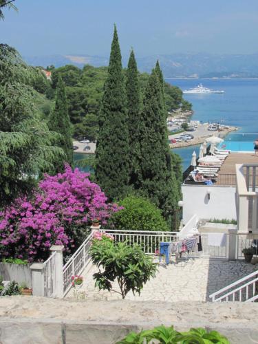Soba Mirus — Cavtat — photo 5