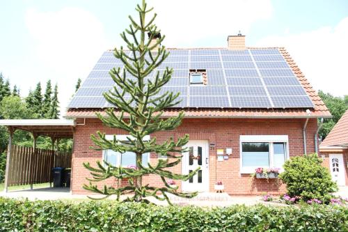 Angelikas Ferienparadies Angelika OG — 4-Star Luxury Hotel in Haseluenne, Germany