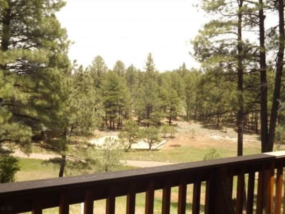 Arizona Mountain Inn and Cabins - photo 278