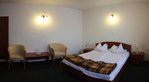 Hotel Paltinis in Borsa, Romania