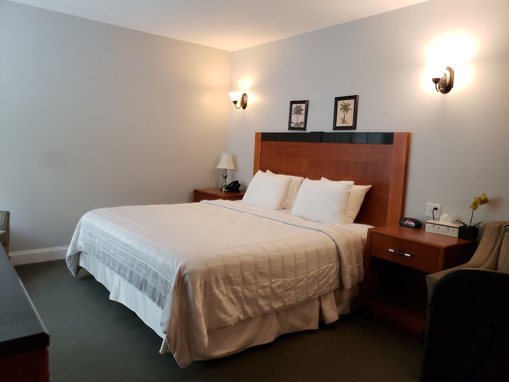 Crescent Suites Hotel - photo 8