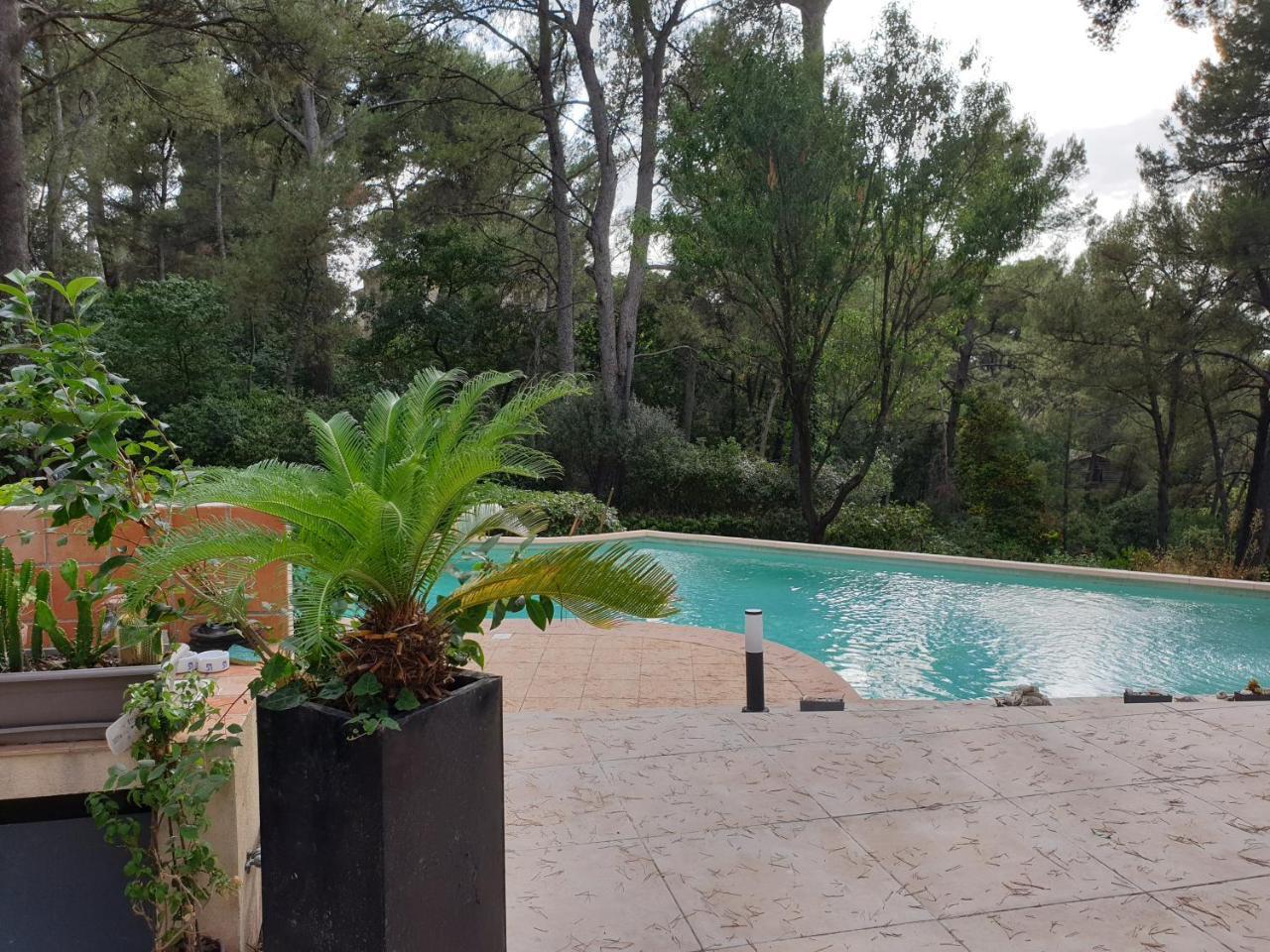 Un Oasis En Provence — Aubagne — photo 5
