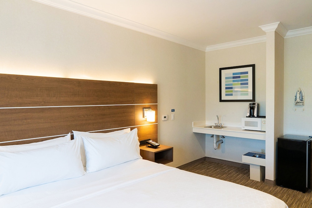 Holiday Inn Express Suites Davis University Area - photo 32