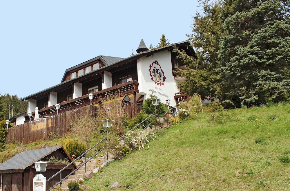 Hotel Adlerschanze — Schoenwald — photo 3
