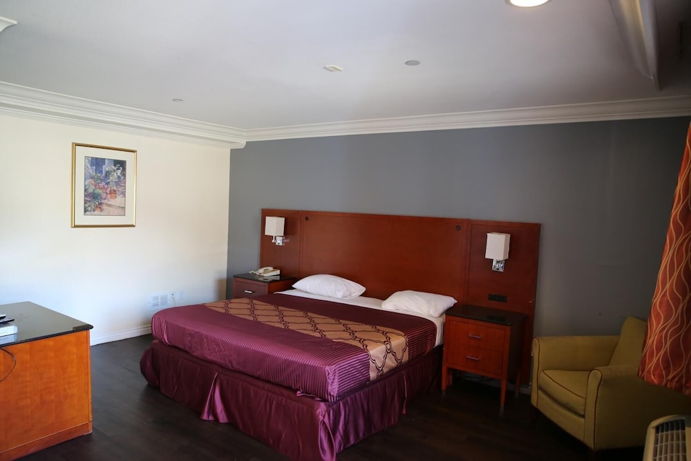 Chateau Inn and Suites - photo 19