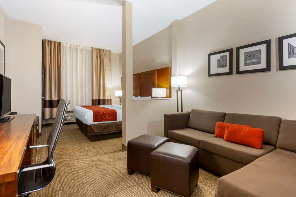 Comfort Suites La Vista Omaha - photo 16