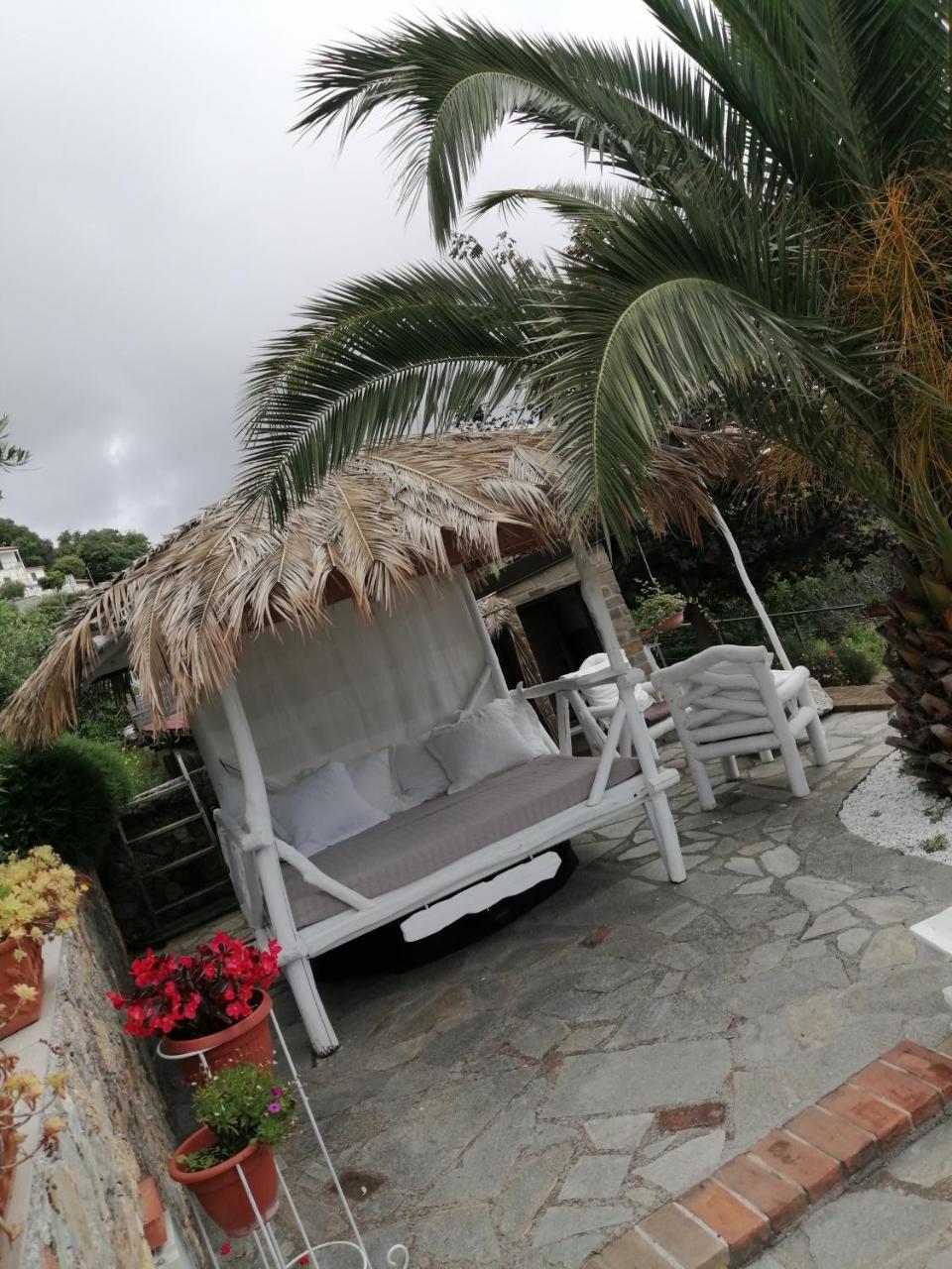 Rosamimama Cod Citra 0090 Lt 0250 in Noli, Italy