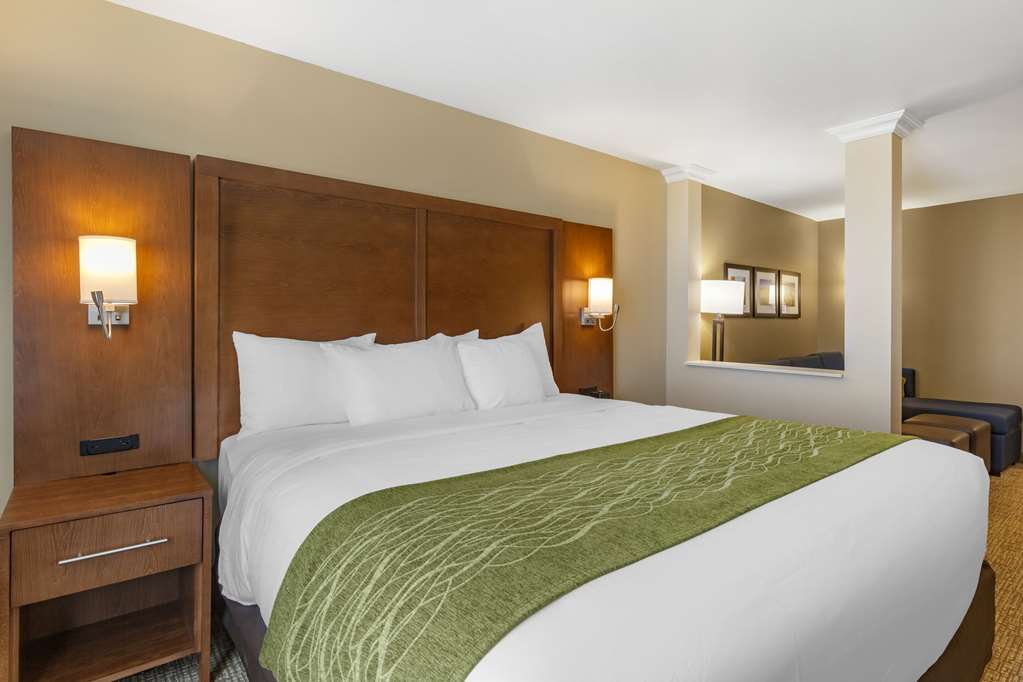 Comfort Suites Albuquerque Airport - photo 11